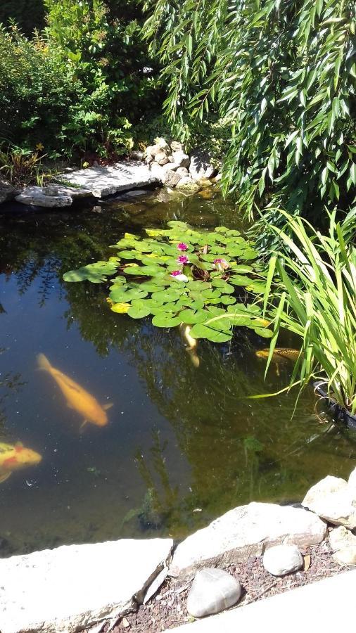 Le Jardin De Nemo Bed & Breakfast Biscarrosse Exterior foto