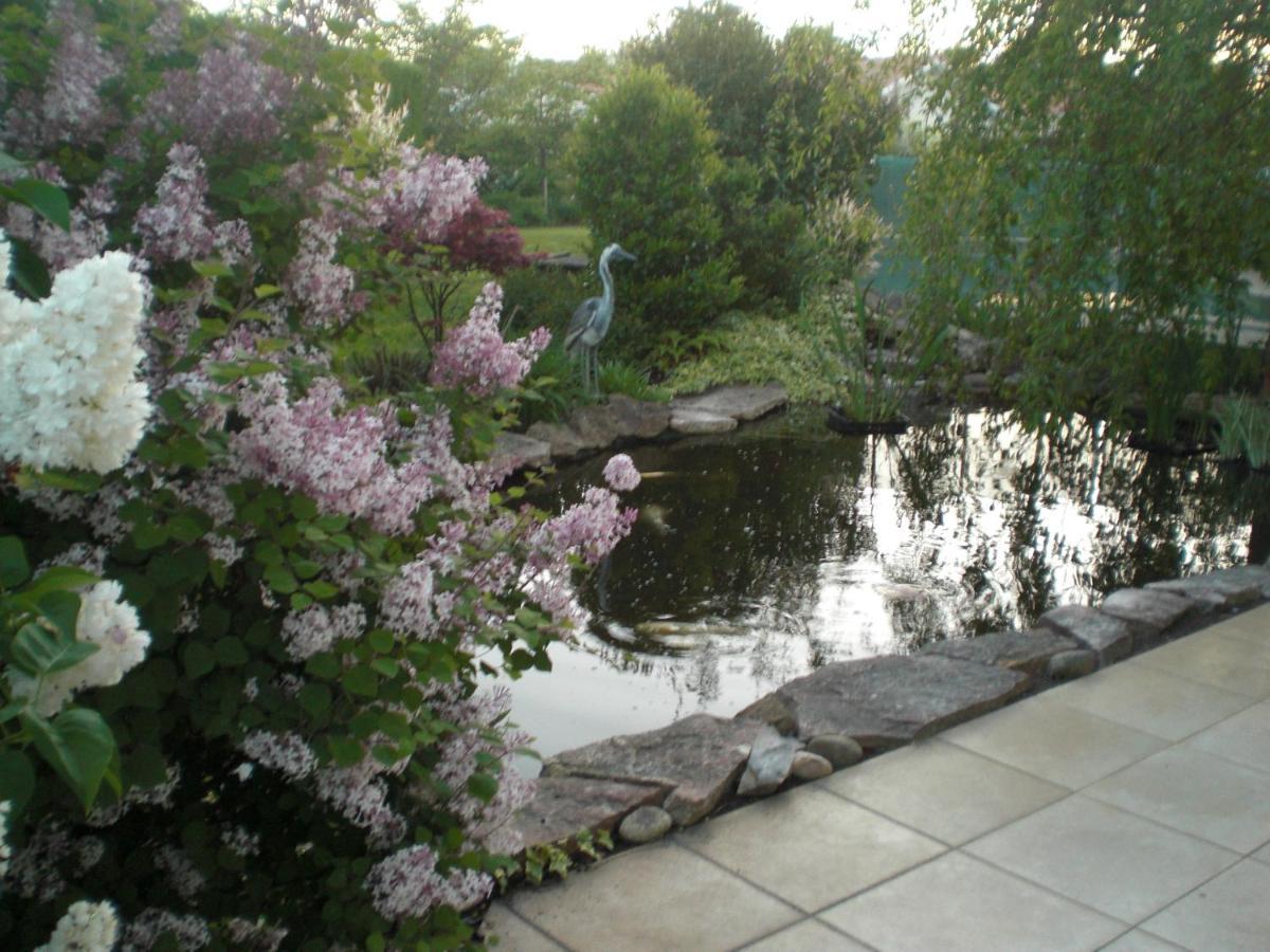 Le Jardin De Nemo Bed & Breakfast Biscarrosse Exterior foto